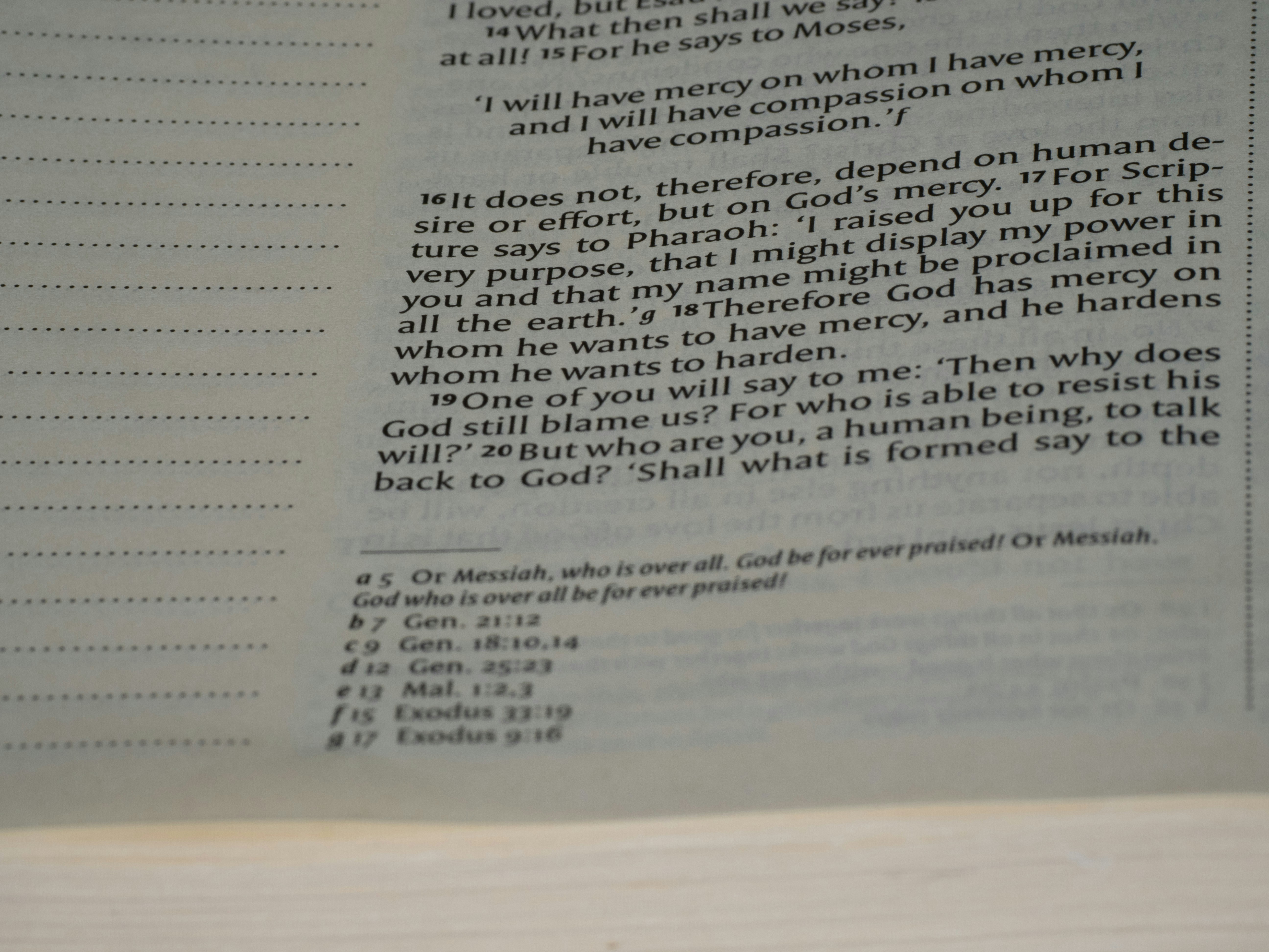 close up, bokeh, bible, new testament, christian, history, text, reading, bible study, devotions, christianity, scripture, romans, paul, grace, epistle, systematic theology, faith, law, salvation, gospel, sin,